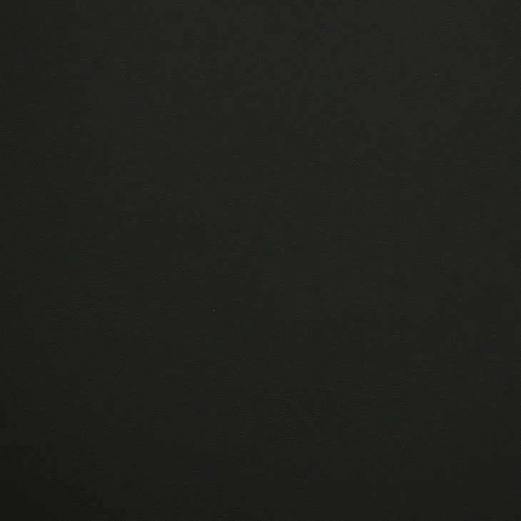 EN-48 Black Oyster